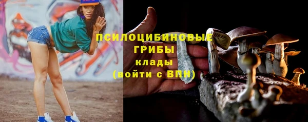соль курить ск Алексеевка