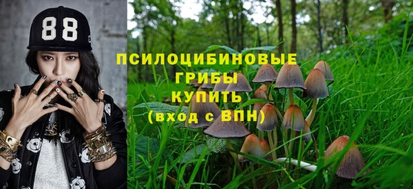 соль курить ск Алексеевка