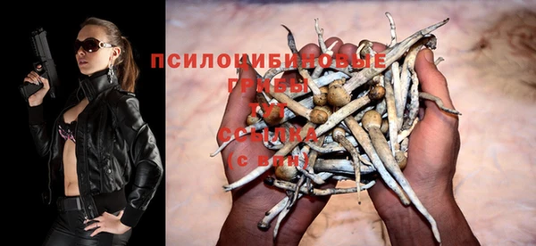 СК Алексин